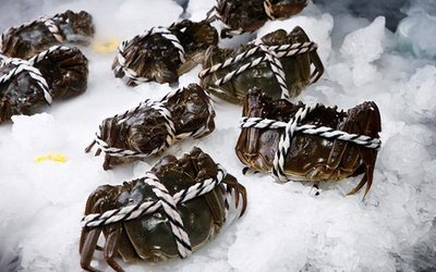 Yangcheng Lake Crab (Xuanwu Gate West Street Store)