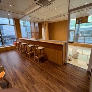Ouyu Cat Cafe (Miyun Branch)