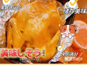 Ji Mailang · Roast Chicken · Mud Pot Chicken · Hand-Torn Chicken (Anxin Meichu Food City, Stall A15)