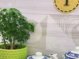 Lanzhou Beef Noodles