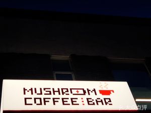 MUSHROOM Mushroom Coffee