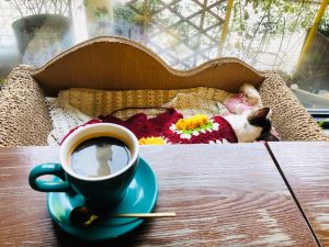 Lai Zong's Coffee Shop