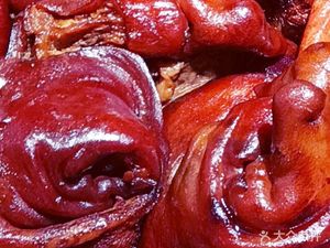 Thai Mae Nam Pig Trotter Rice (Zhengshang International Store)