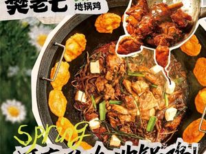 Fan Laoqi Rural Earth Pot Chicken (Zichen Road Branch)