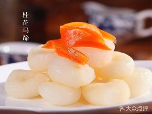 Wang Lao Wu Roasted Chicken Bean Skin (Yingying Road)