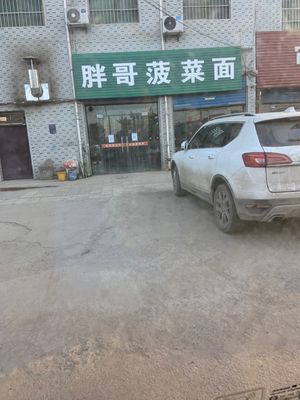 Pang Ge's Spinach Noodles