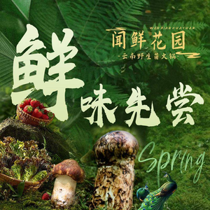 Wen Xian Yunnan Mushroom Hot Pot (South Gate City Wall View Branch)