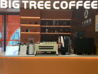 Big Tree Coffee (Huadong Wanyuecheng Store)
