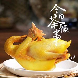 Guangdong Salt-Baked Chicken (Shengjing Haoting Store)