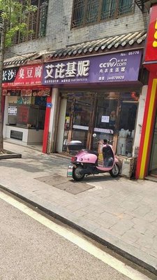 Old Changsha Stinky Tofu