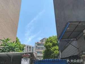 Yi Jiu Qi Er Xiang Yue Qin (San 0 Yi Jia Yuan Store)