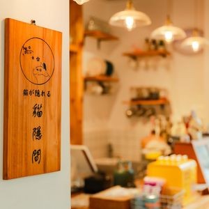 Mao Yin Jian · Cat Café (Lushan South Road Store)