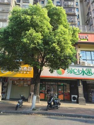 Sanjin Soup Dumplings (Lufeng Heyuan Store)