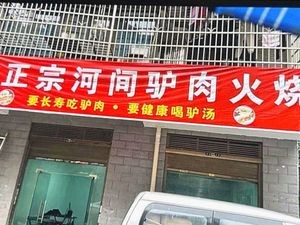 Authentic Hejian Donkey Meat Fire Cake (Huanghe Community Branch)
