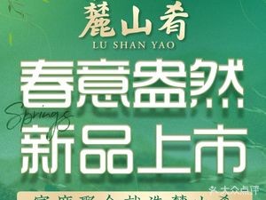 Lushan Yao (Academic Theme Branch)