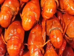 Xiaodier Night Snack (Runze Garden Store)