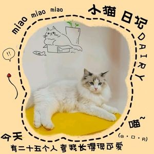 Catplus Persian Cat Café · Board Games · Karaoke · Switch Gaming (Taihe District)
