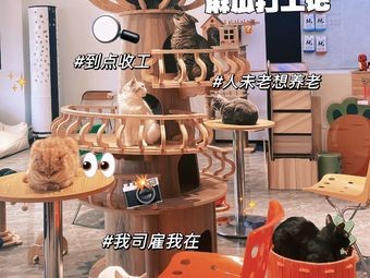 Cat阁Pro · Cat Cafe · Switch