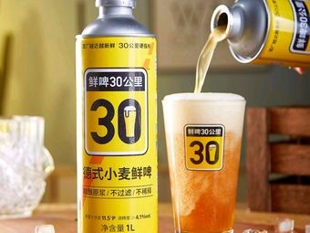 30 Kilometers Fresh Beer Pub (Wanliutang Branch)