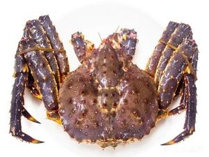 Junhui Seafood (Hongcai Street Night Economy Concept Street Branch)