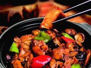 Yanhua Secret Recipe Pork Rib Braised Chicken