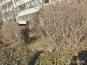 Honghong Seafood (Wangjia Maidao Village Residential Store)