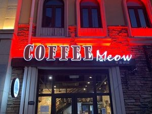 Coffee Meow Meow Cat Café