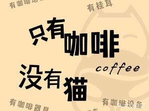 Sundog Cat Coffee Shop (Xianqian Street Branch)