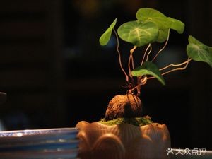 圣堂素面
