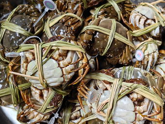 Crab Paradise