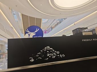 Luckin Coffee (Longhu Xiangcheng Tianjie Branch)