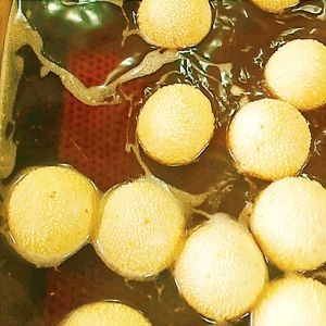Changmen Yaoji Soy Milk (Xiangcheng Branch)