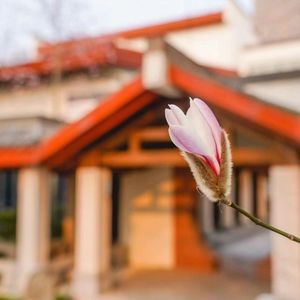 百香全日餐厅(巢湖深业温泉假日度假酒店)