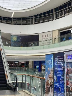 青年星厨烤鸭店(万象城店)