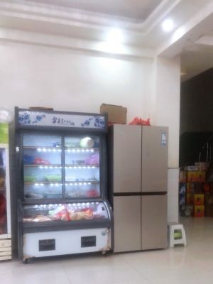 Laosi Home-style Cuisine Hall (Century Avenue Branch)