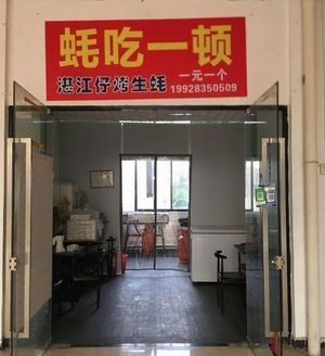 Haotai Yidun · Zhanjiang-style Grilled Oysters (Jiangwan Commercial Plaza Store)