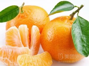 Chenghai Old Goose Meat