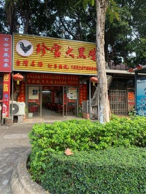 Zhen Bao Black Chicken