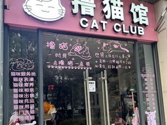 Mumu Cat Cafe