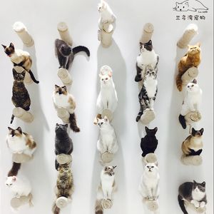 Landobay · Lu Café (Cat Café Binhai Wanda Branch)