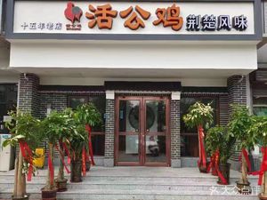 Live Rooster (Xinguang Third Road Branch)