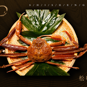 Flower Field · Baoxin Omakase