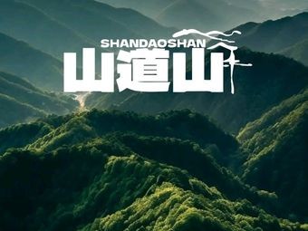 Shandao Shan (Ningbo First Store)