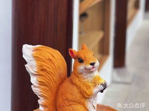 Squirrel Coffee