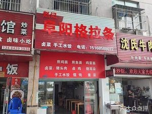 Zhao's Fuyang Gela Noodles (Mozhi North Road Branch)