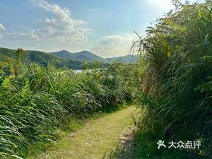 Reed Coffee (Lishi Jiu Long Wan Branch)