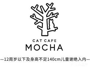 MOCHA Celebrity Cat Café (Tianyi Plaza Branch)