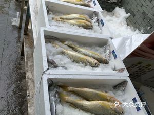 Blue Whale Seafood Family
