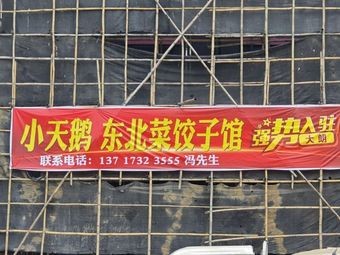 Little Swan Northeastern Cuisine Dumpling House (Dalang Branch)