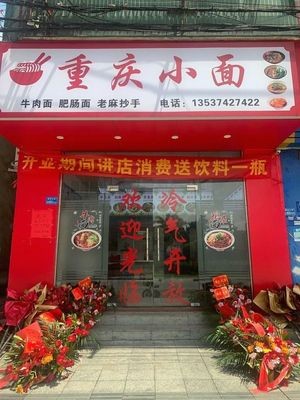 Chongqing Noodles